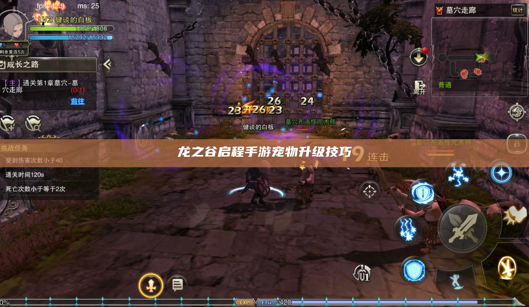 龙之谷启程手游宠物升级技巧