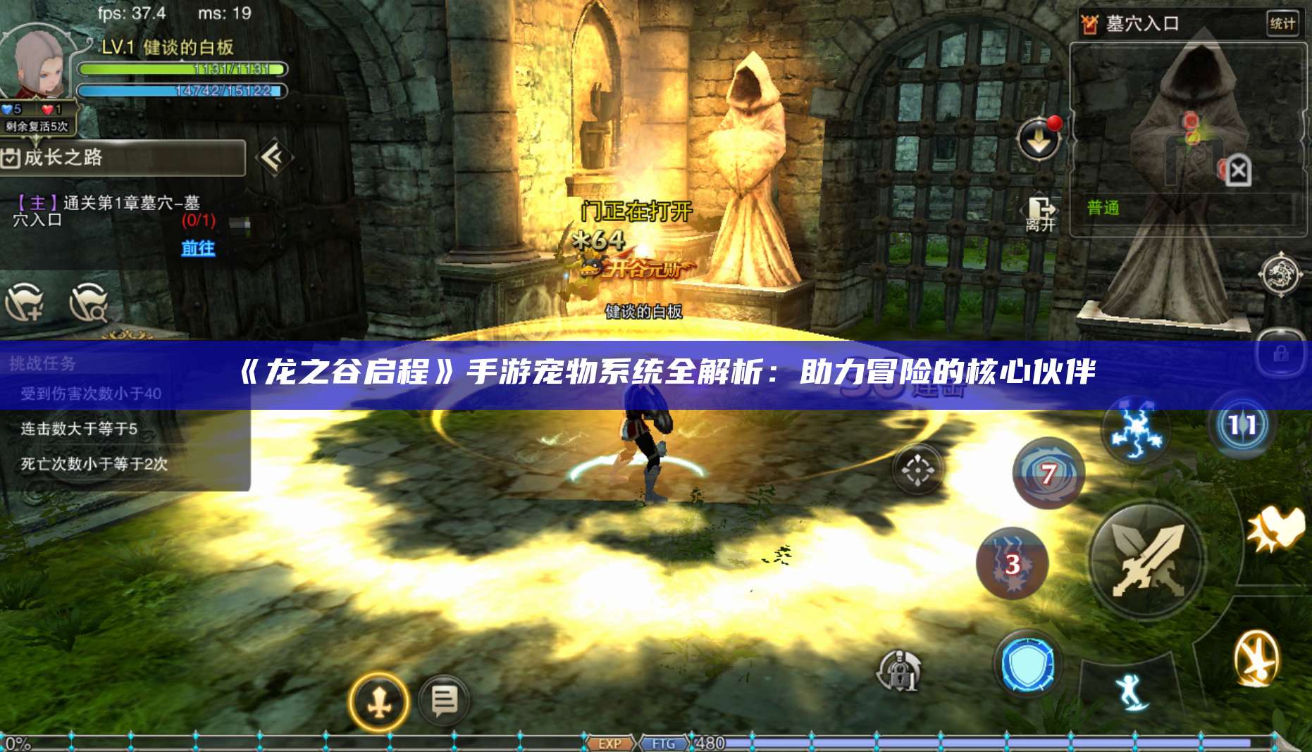 《龙之谷启程》手游宠物系统全解析：助力冒险的核心伙伴